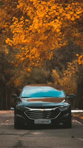 Chevrolet Malibu 🇺🇸 Miami National