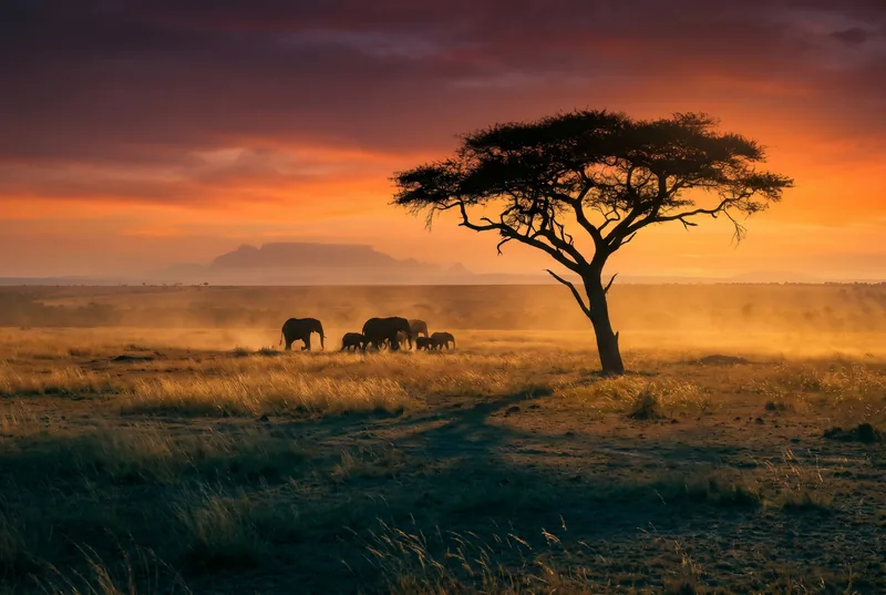 Sudáfrica Esencial – Safari Kruger, Ciudad del Cabo, Cataratas Victoria
