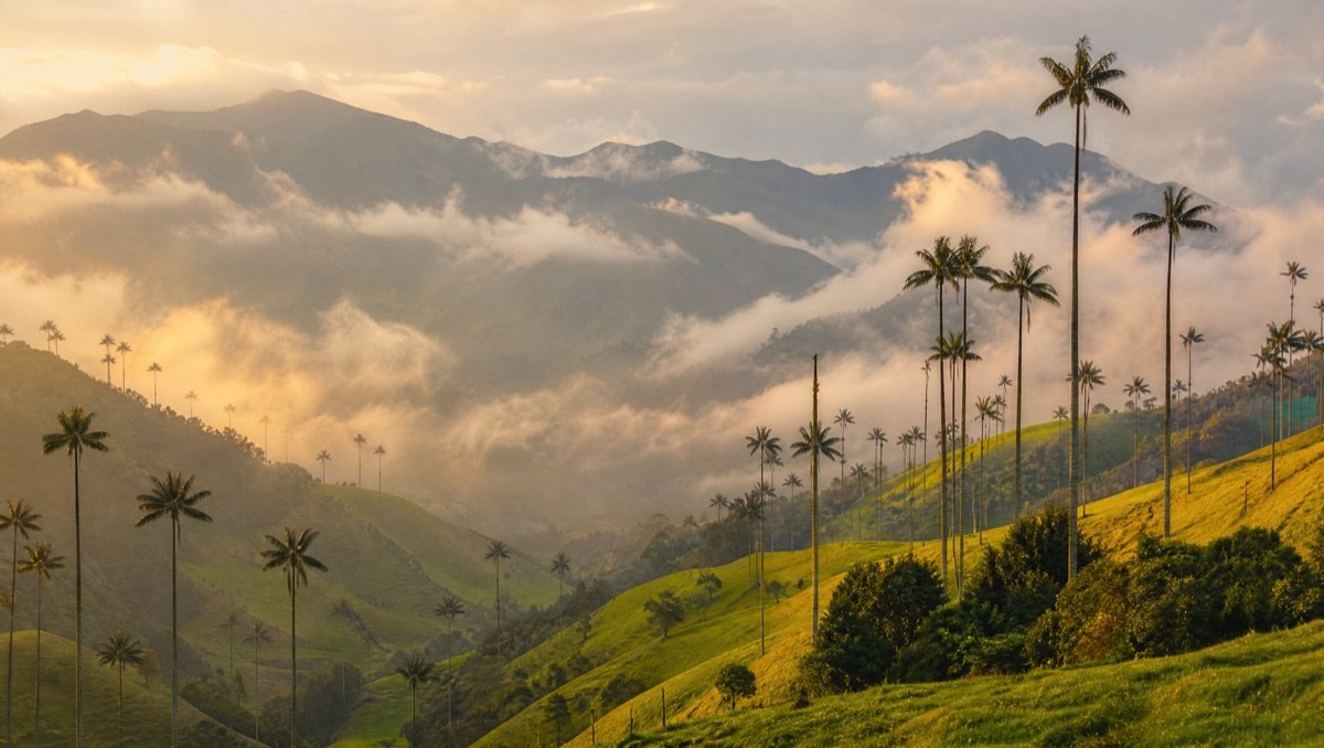 Por qué visitar Colombia 2026